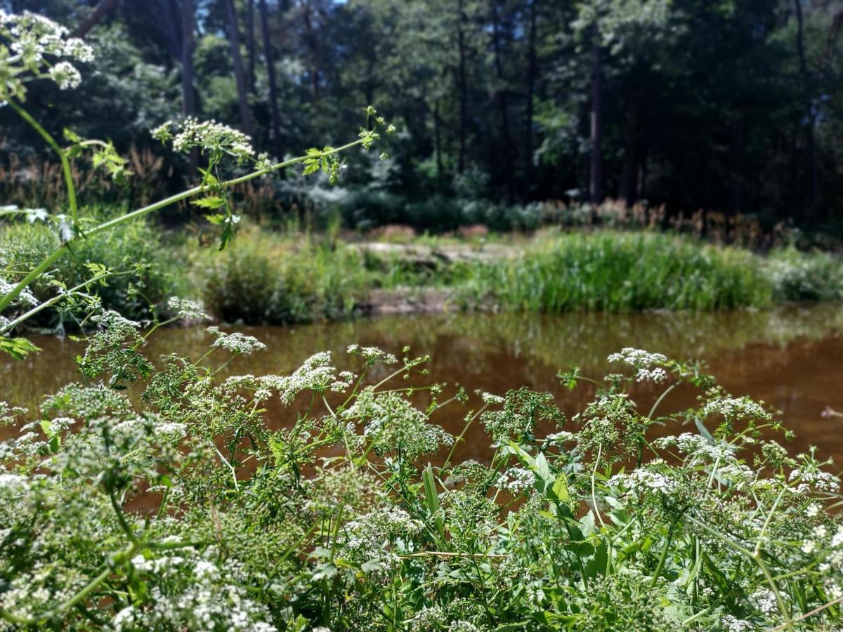 Vakantiehuis De Bakspieker Haaksbergen Exteriör bild